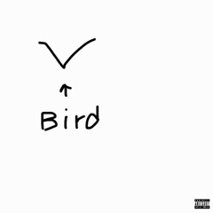 I WANNA FLY