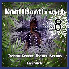 KnallBuntFrosch Adventskalender 24