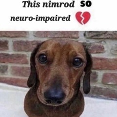 egg tart banana split