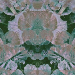 Mixtape Gardening #1