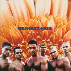 Rammstein - Rammstein (slowed & reverb)