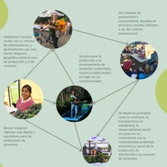 ¿Redes alimentarias alternativas?