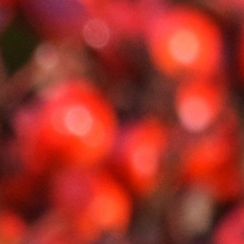 Cello Tones Project Part Two - sedative