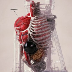 Daily Drop #4120 - Entanglements