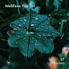 Melifera Podcast 27 | Morian