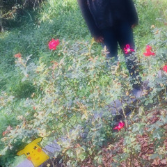 somebody (prod. etc4e$t)