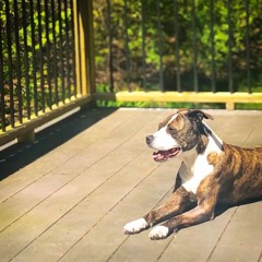 Roasting In The Sun
