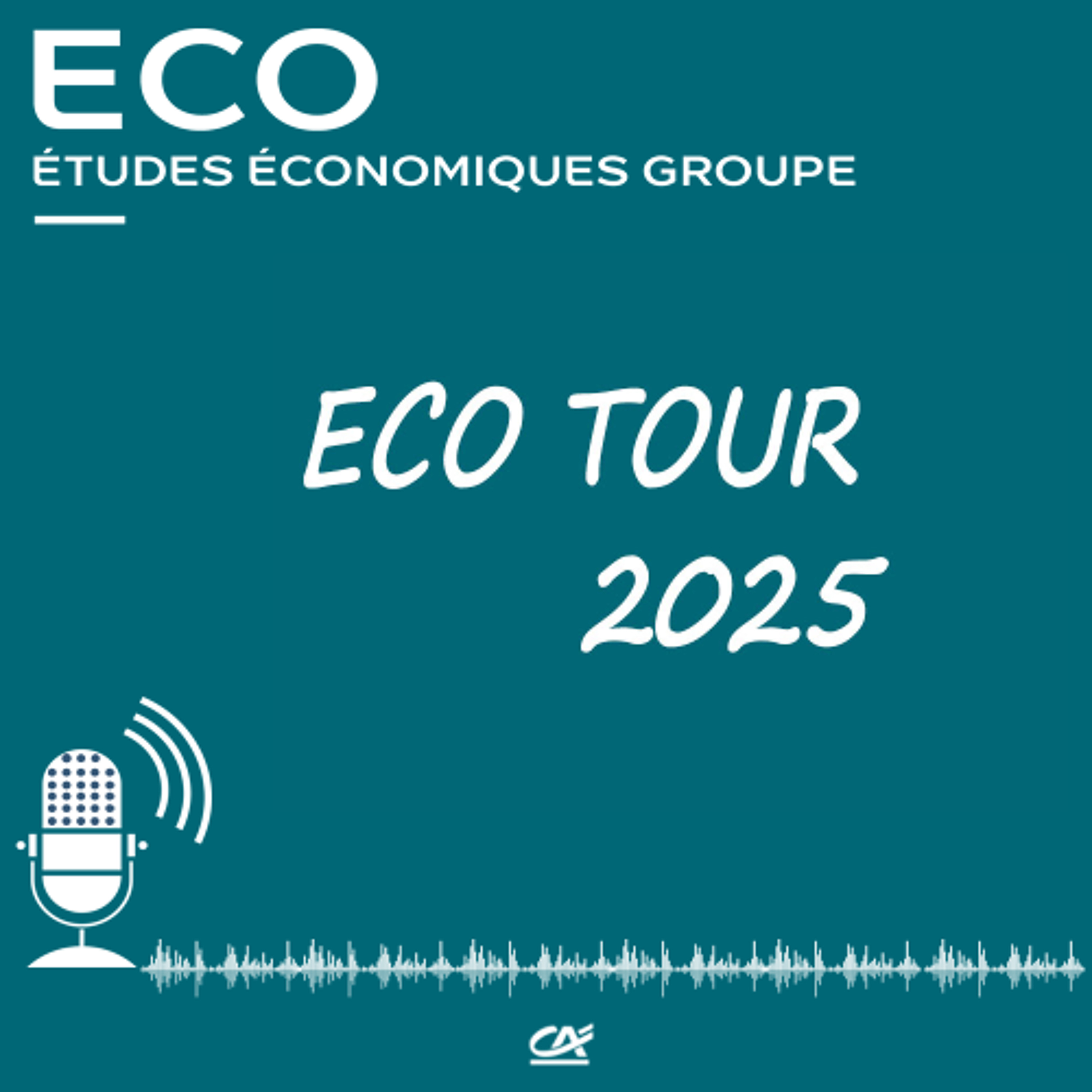 Podcast - Automobile : le déclin d’un secteur industriel français