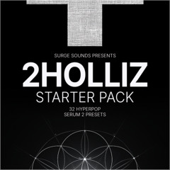 2holliz Starter Pack