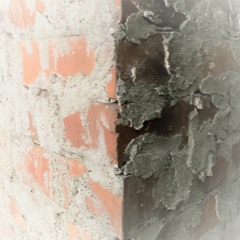 Confined By The Walls I Built