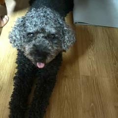 투빅-광