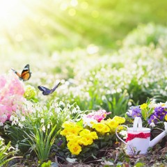 Bjørn Lynne - Colors of Spring