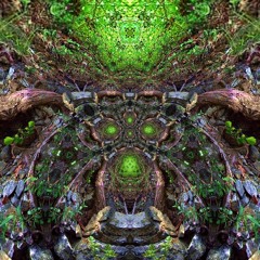 B.e.n. - "Psychedelic Bliss" - Part 1/7 ( Progressive-Psy ) - 18h mix of Ultimate Trance Experience