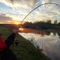 Valul Doi (2) - Reggaeverest