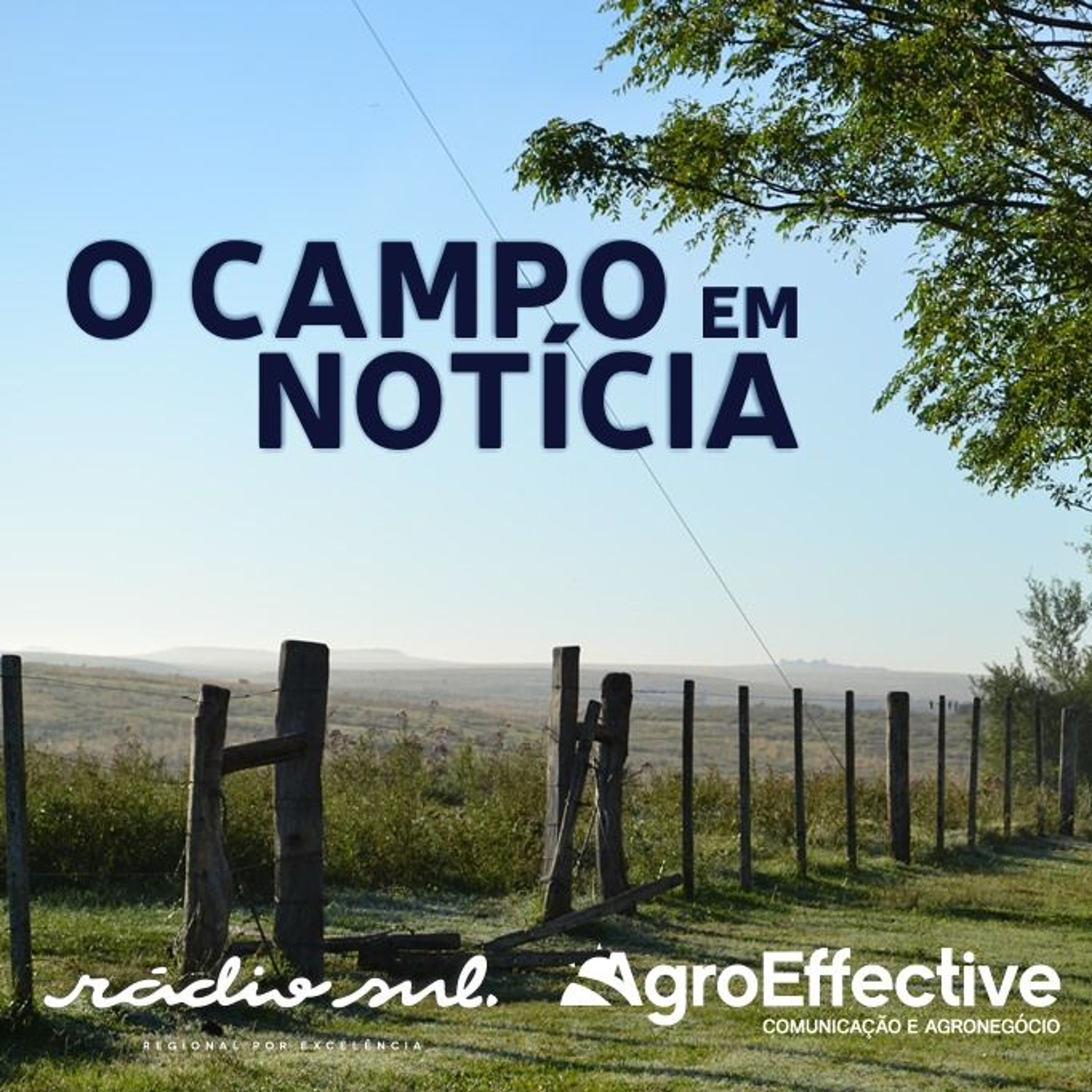 Radiosul.net