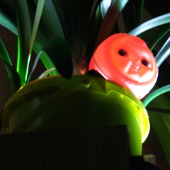 Psychedeliqent- Big Drum And Bass Race - 2022 - 10 - 14 7h32m49