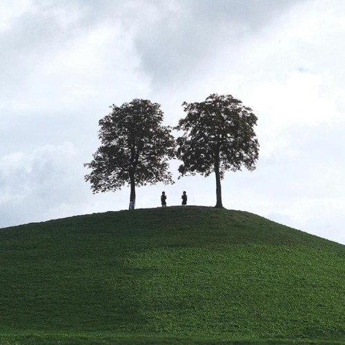 On the Purge - Spring Equinox - Conscious Movement Practice Wave-March 21st, 2025