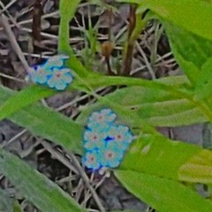 patience - the lumineers [slowed]