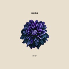 PREMIERE: Soul Bells - For You [Magpie]