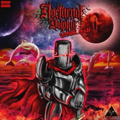 SiNNER MOON - NOCTURNAL DOLPHIN (Prod.Gunta) [Official Lyric Video]