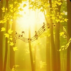 Friend of the Bridegroom.flac