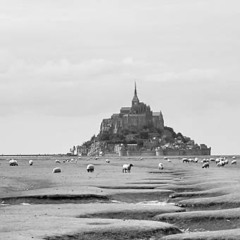 Minimal III-Jules.Rnp