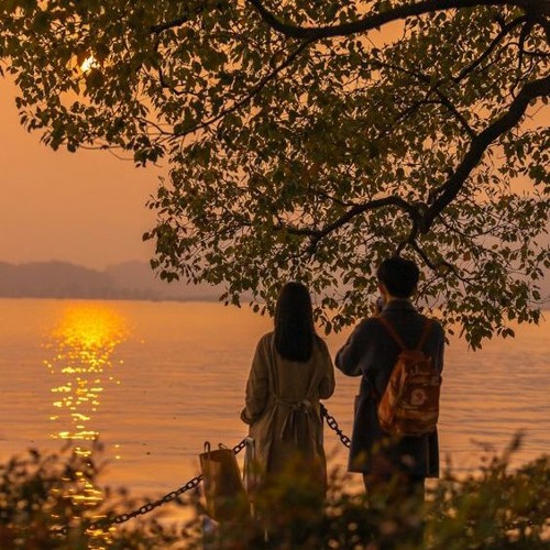 Chỉ Muốn Bên Anh Thật Gần (Lofi Ver.) - YLing x Xám x Filver \Những câu ca êm dịu nhẹ nhàng..