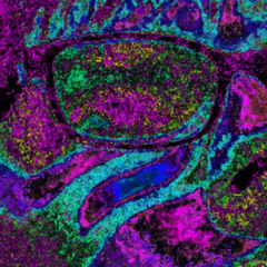 ughhimsoemo [prod. pyctur]