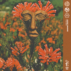 PREMIERE: Earthly Measures & OKRAA - Que? (Olsvanger's Wildwood Dub) [Oath]