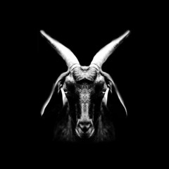 K.Z - GOAT (Prod.By 808 Lanky)