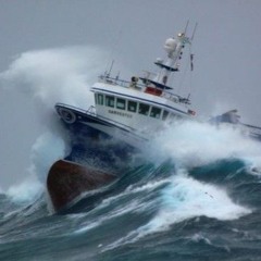 Sausilito - New Wave