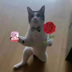 DATE! [prod Bigg Alexz]