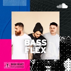 New Bass Heat: Bass Flex