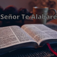 Te Alabaré (Canta Vicente)🎵