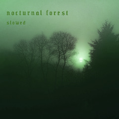nocturnal forest (slowed)