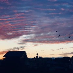 wind feat babibus026