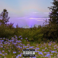 Doses w/C4merxn00* (Prodby Deekay)