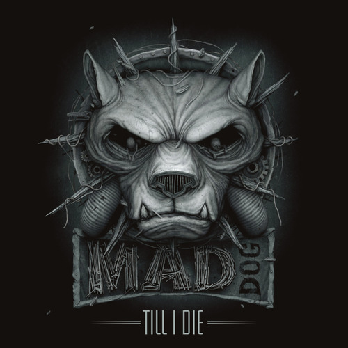 Enter The Time Machine (DJ Mad Dog Mix)