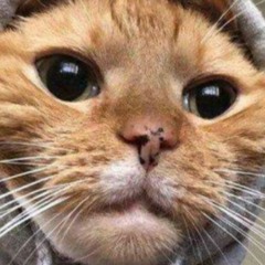 composure - caz prod. dcgk