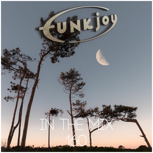 funkjoy - In The Mix 160