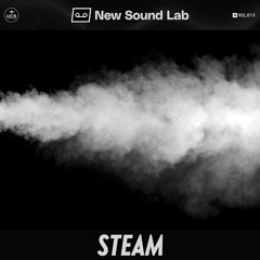 NSL019 Steam Preview