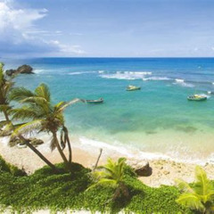 Review Special Price Barbados Island Tour With Lunch And Wildlife Sanctuary