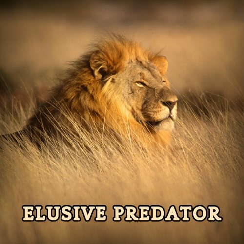 Jeff Willet - Elusive Predator (0.A.D. Combat Soundtrack) [CC BY-SA 3.0]