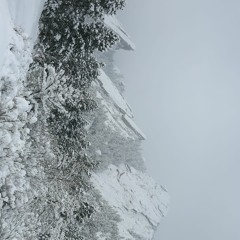 Well Done, Person/People