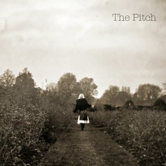 Pitch- Once bitten, twice shy
