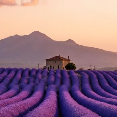 Dcurv - Chill House Mix (Provence 2025)