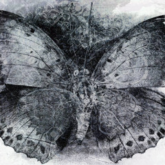 BUTTERFLY (KILLFIJI X L00N3¥) [prod. ???]
