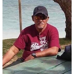 ai kot cover by Remes