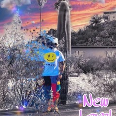 New Level
