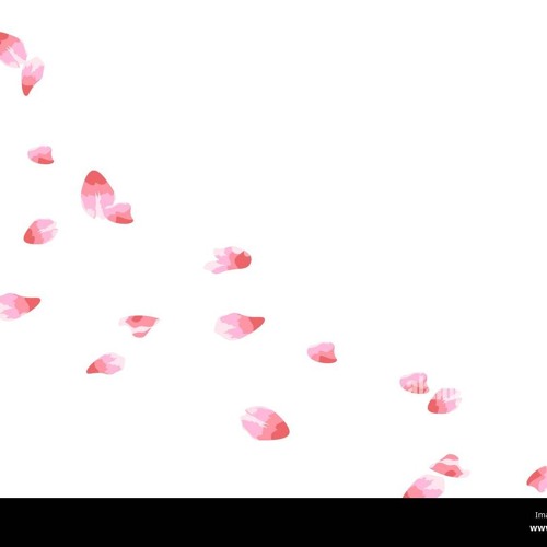 Sakura dans le Vent